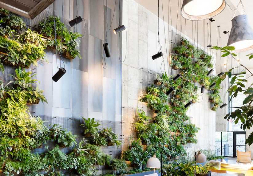 酒店植物墙装修设计