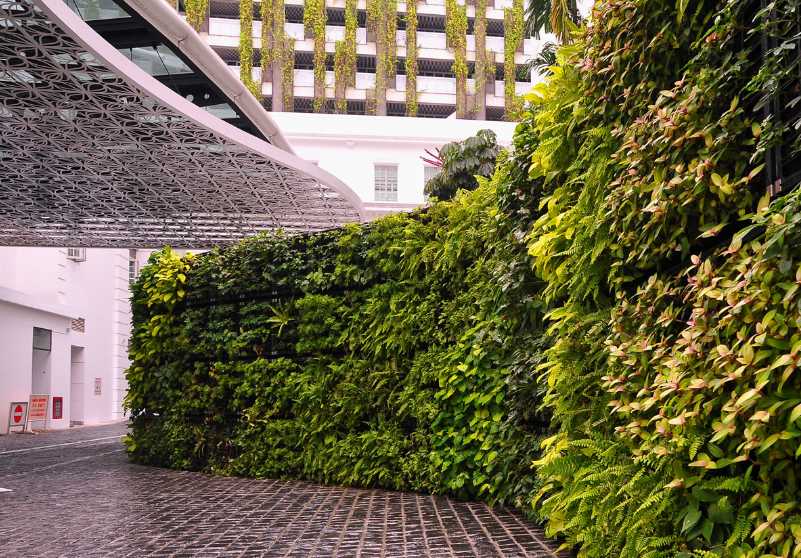 酒店植物墙装修设计